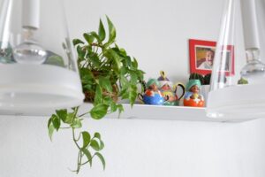 Urban Jungle Bloggers: verde in cucina {Kitchen Greens}