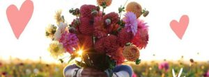 San Valentino: un post per soli uomini…