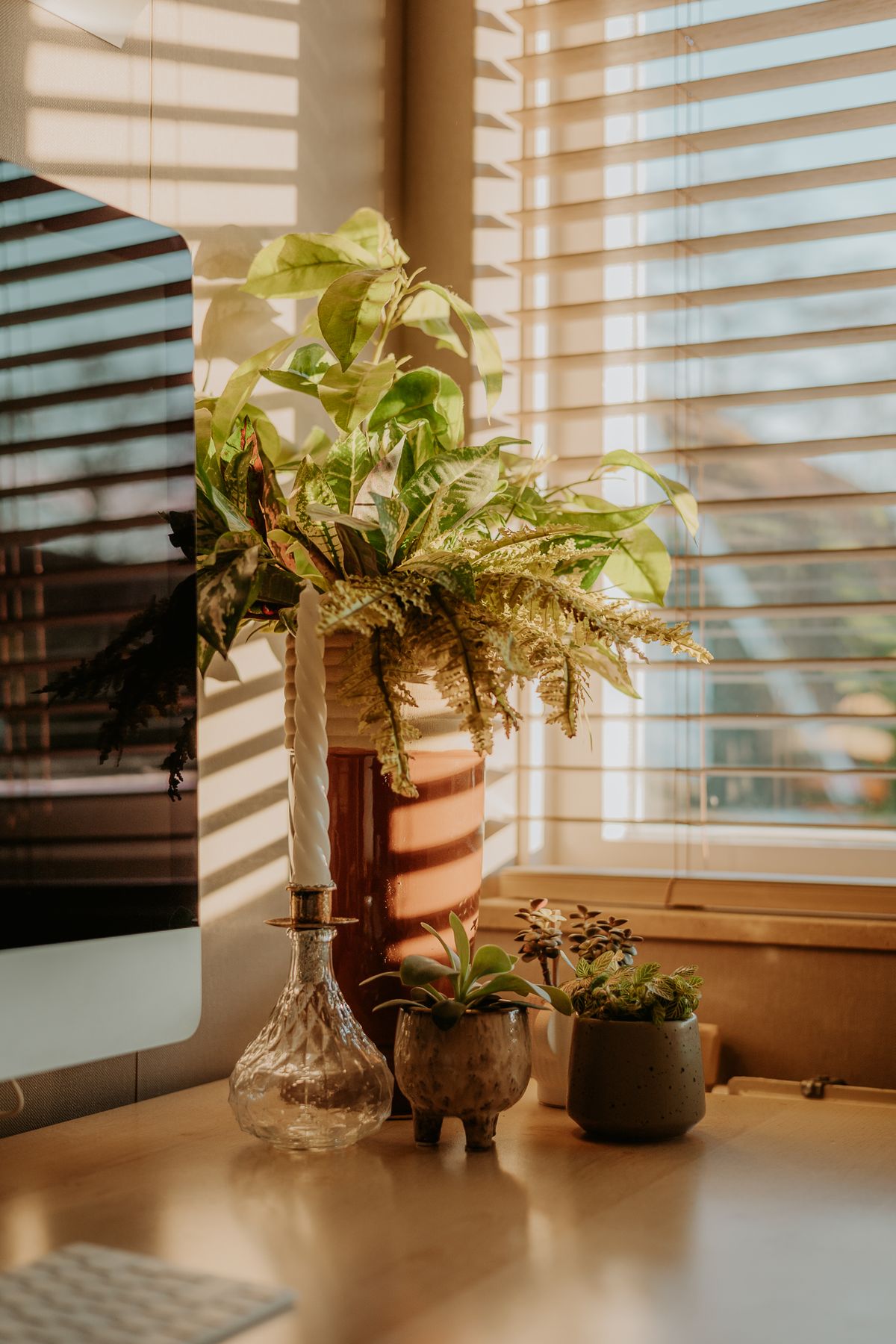 decorare con le piante