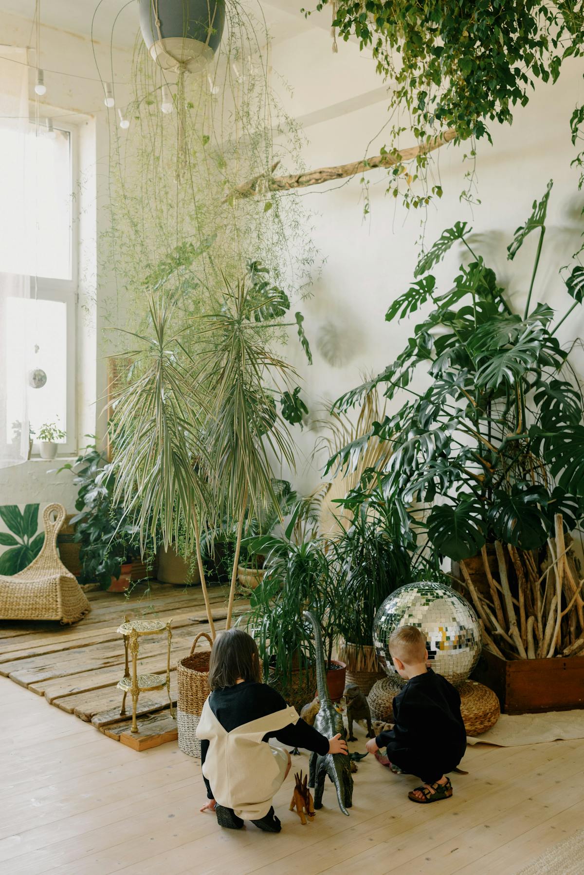 decorare con le piante
