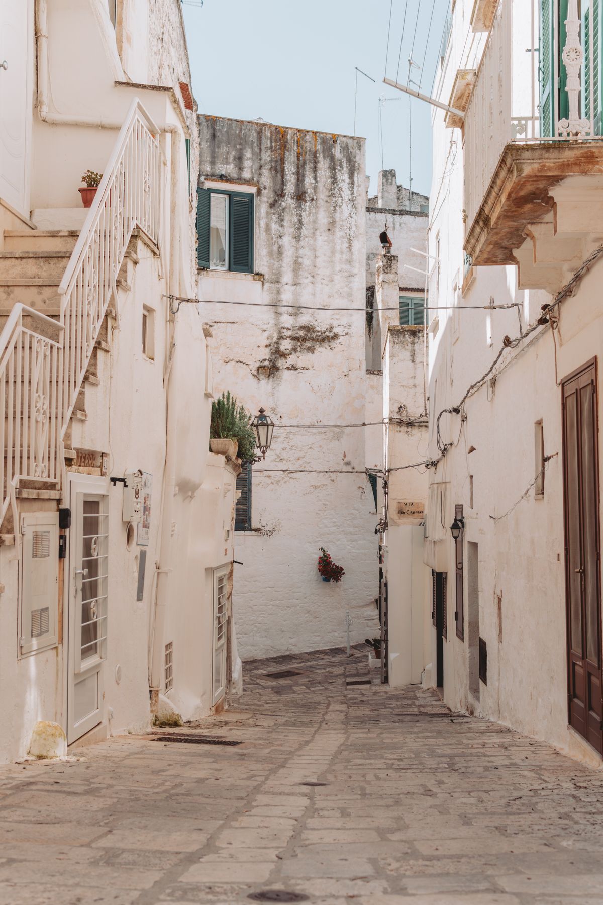 intervista-Paola-Petrobelli-Panorama